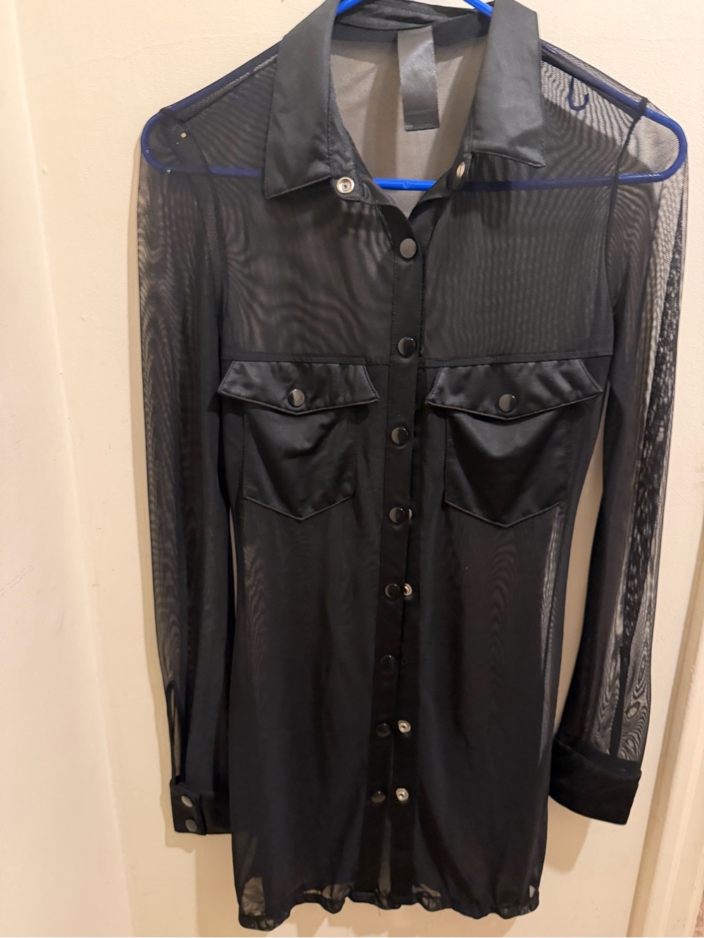 Sheer Black Button-Front Shirt dress